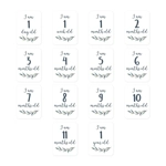 Lulujo Hello World Milestone Blanket