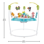 Fisher-Price Jumperoo Colour Climber
