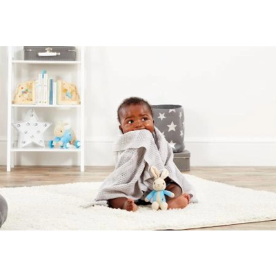 Peter Rabbit Soft Toy & Blanket Gift Set