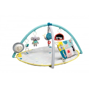 Taf Toys Gym All Around Me