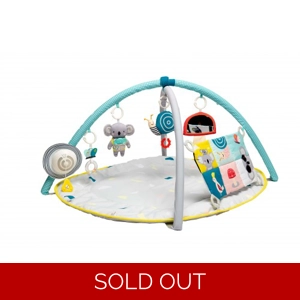 Taf Toys Gym All Around Me