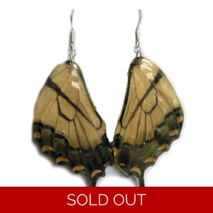 Tiger Swallowtail Earrings