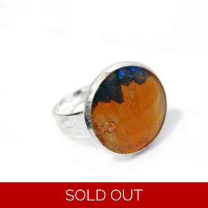 Orange Sulphur Butterfly Ring