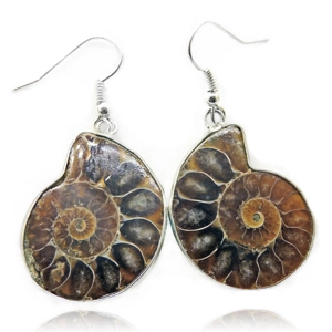 Ammonite Fossil Earrings