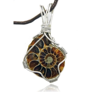 Ammonite Fossil Necklaces