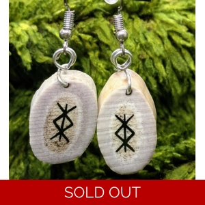 Deer Antler Slice Protection earrings