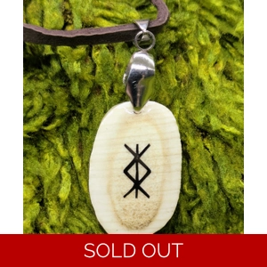 Deer Antler Slice Protection Necklace