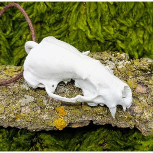 Badger Skull Necklace