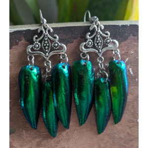 Jewel Beetle Wing Earrings