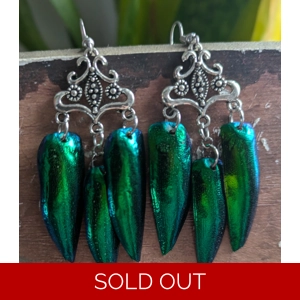 Jewel Beetle Wing Earrings