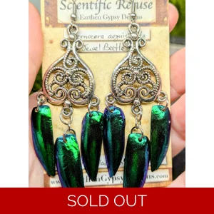 Jewel Beetle Chandelier Wing Earrings