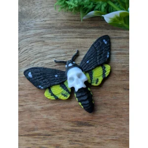 Death's-head Moth Magnet