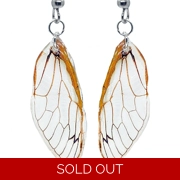 17-year Periodical Cicada Wing Earrings