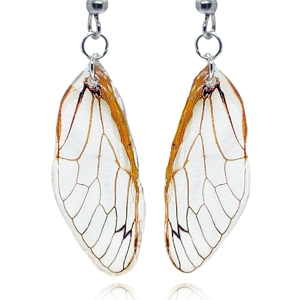 17-year Periodical Cicada Wing Earrings
