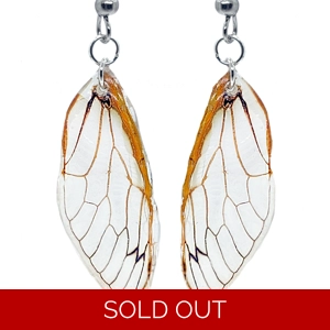 17-year Periodical Cicada Wing Earrings