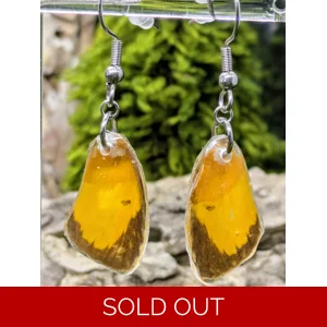 Orange Sulphur Forewing Earrings