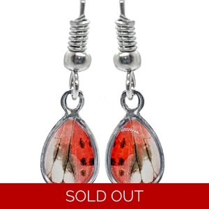 Spotted Lanternfly Tiny Teardrop Earrings