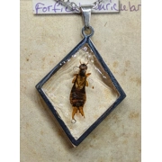 Earwig Reversible Necklace