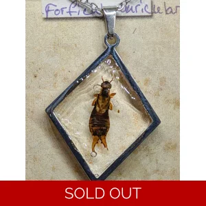 Earwig Reversible Necklace