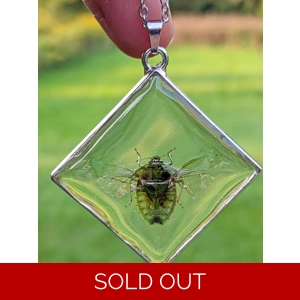 Green Stink Bug Reversible Necklace