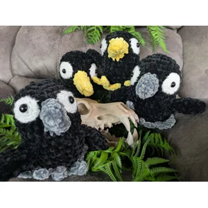 Baby Crows & Ravens