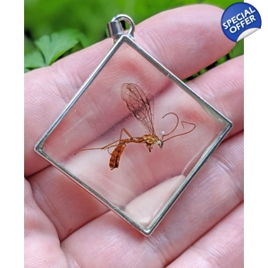 Ichneumonidae Wasp Reversible Necklace