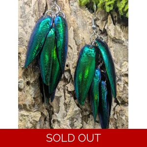 Jewel Beetle Wing Earrings