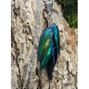 Jewel Beetle Wing Necklace