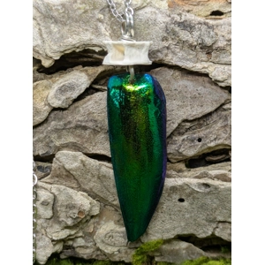 Jewel Beetle Wing Necklace