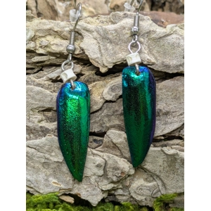 Jewel Beetle Wing Earrings
