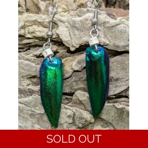Jewel Beetle Wing Earrings