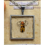 Milkweed Beetle Reversible Necklace