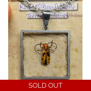 Milkweed Beetle Reversible Necklace
