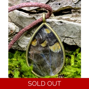 Tiger Swallowtail Reversible Necklace