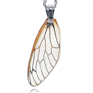 17-year Periodical Cicada Wing Necklace