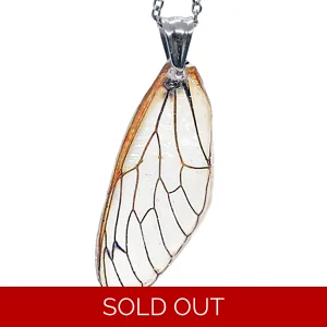 17-year Periodical Cicada Wing Necklace