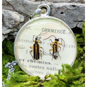 Soldier Beetle Necklace