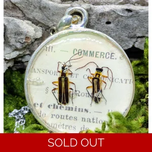 Soldier Beetle Necklace