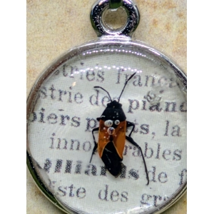 Seed Bug Necklace