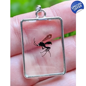 Pompilidae Wasp Reversible Necklace