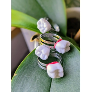 Human Teeth Rings