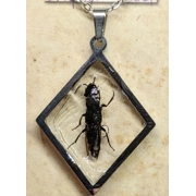 Rove Beetle Reversible Necklace