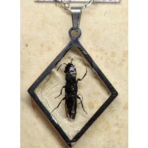 Rove Beetle Reversible Necklace