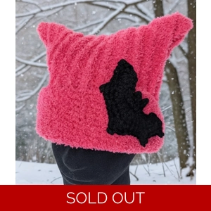 Cat hat with bat