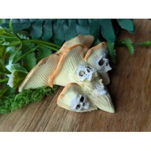 Skull Oyster Mushroom Magnet