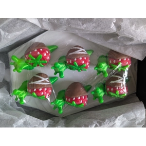 Chocolate covered snails box