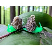 Mushroom Snail Earrings