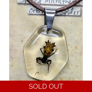 Spiny Spider Necklace