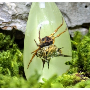 Spiny Spider Glow-in-the-Dark Keychain
