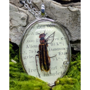 Blister Beetle Necklace